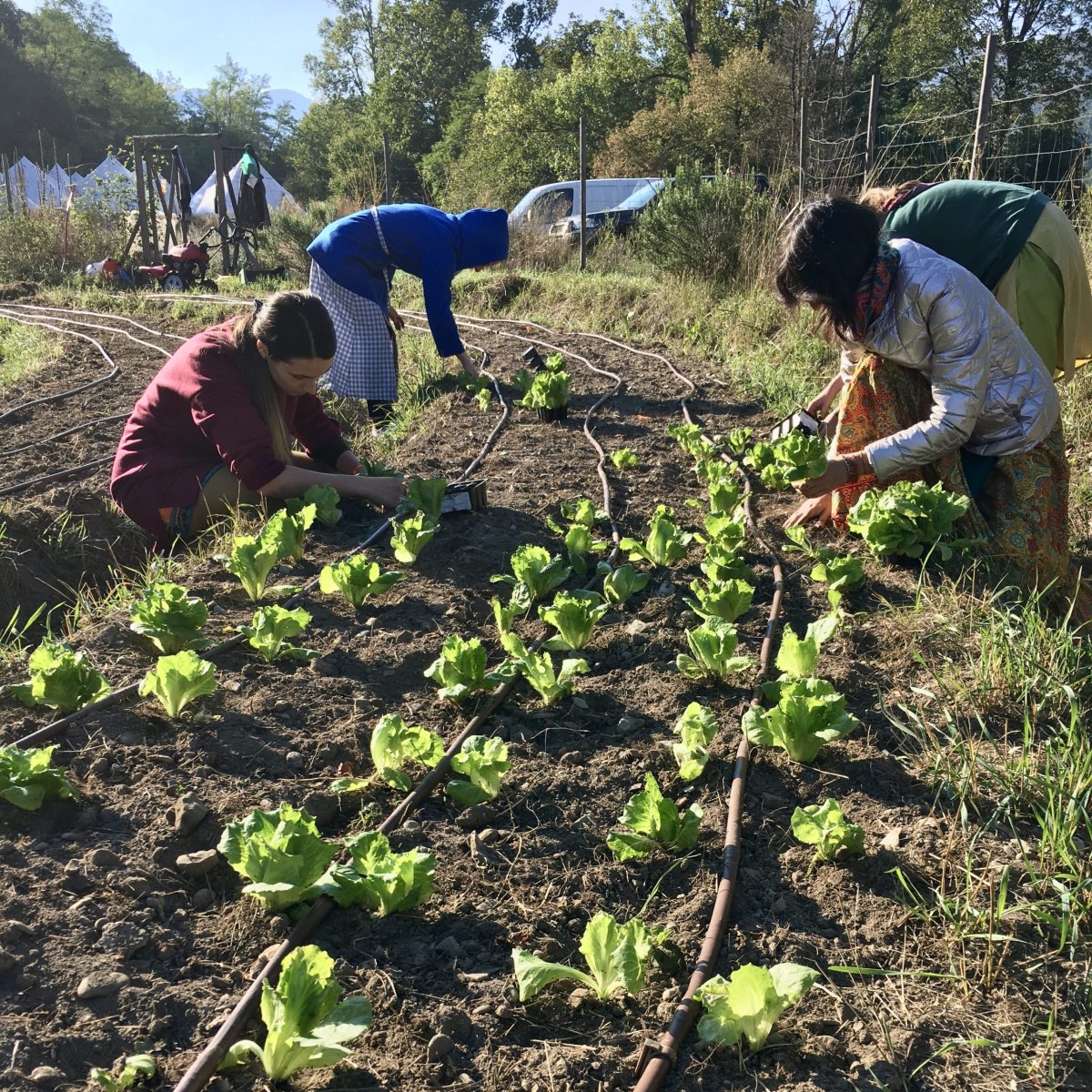 The Living Valley Project 2024